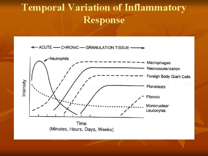 Temporal Variation of Inflammatory Response 