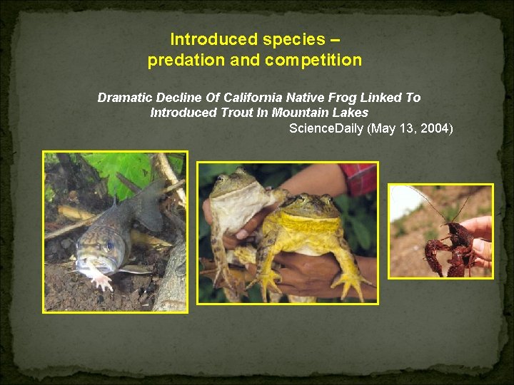 Introduced species – predation and competition Dramatic Decline Of California Native Frog Linked To