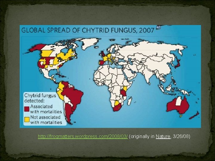 http: //frogmatters. wordpress. com/2008/03/ (originally in Nature, 3/26/08) 