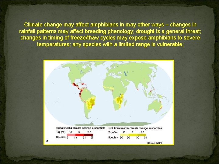Climate change may affect amphibians in may other ways – changes in rainfall patterns