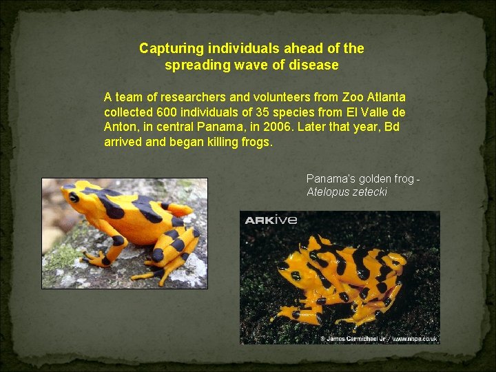 Capturing individuals ahead of the spreading wave of disease A team of researchers and