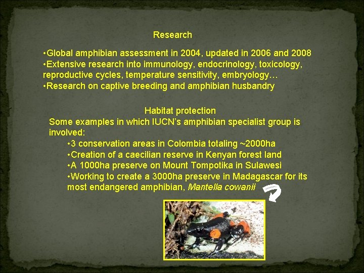 Research • Global amphibian assessment in 2004, updated in 2006 and 2008 • Extensive