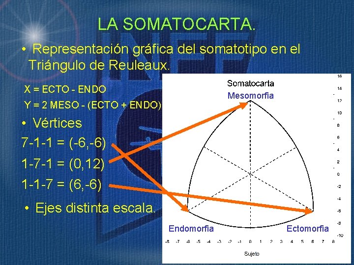 LA SOMATOCARTA. • Representación gráfica del somatotipo en el Triángulo de Reuleaux. X =