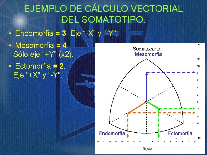 EJEMPLO DE CÁLCULO VECTORIAL DEL SOMATOTIPO. • Endomorfia = 3. Eje “-X” y “-Y”.