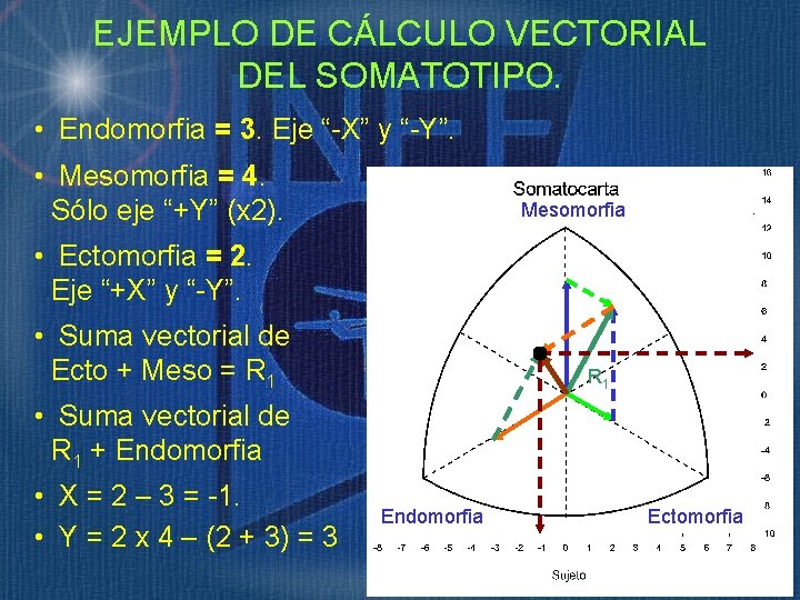 EJEMPLO DE CÁLCULO VECTORIAL DEL SOMATOTIPO. • Endomorfia = 3. Eje “-X” y “-Y”.
