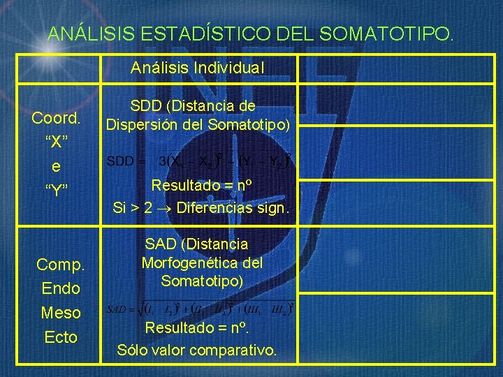 ANÁLISIS ESTADÍSTICO DEL SOMATOTIPO. Análisis Individual Coord. “X” e “Y” Comp. Endo Meso Ecto