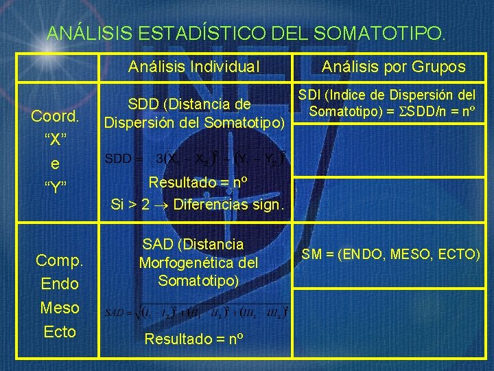 ANÁLISIS ESTADÍSTICO DEL SOMATOTIPO. Análisis Individual Coord. “X” e “Y” Comp. Endo Meso Ecto