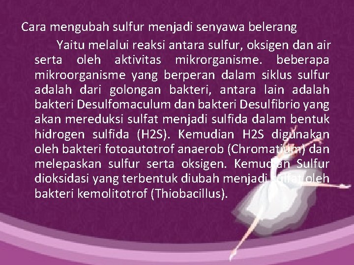 Cara mengubah sulfur menjadi senyawa belerang Yaitu melalui reaksi antara sulfur, oksigen dan air