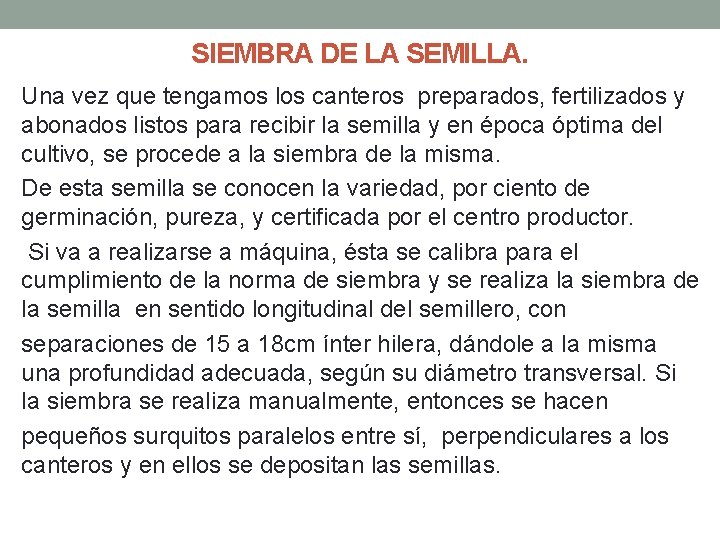 SIEMBRA DE LA SEMILLA. Una vez que tengamos los canteros preparados, fertilizados y abonados