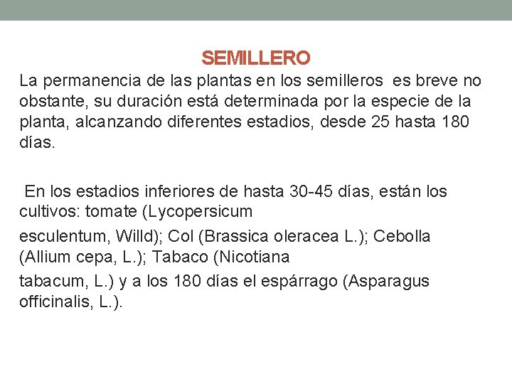 SEMILLERO La permanencia de las plantas en los semilleros es breve no obstante, su