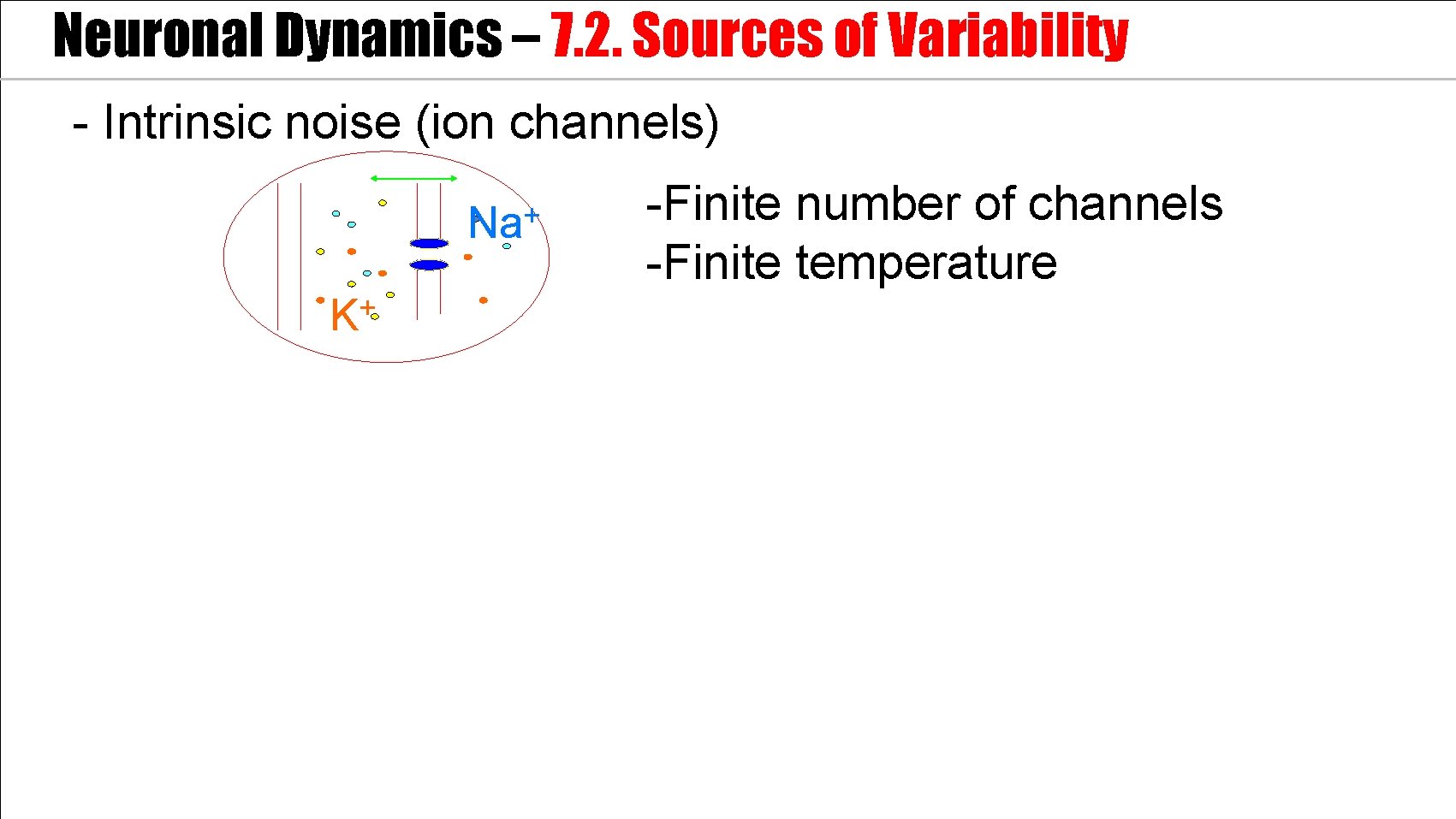 Neuronal Dynamics – 7. 2. Sources of Variability - Intrinsic noise (ion channels) +