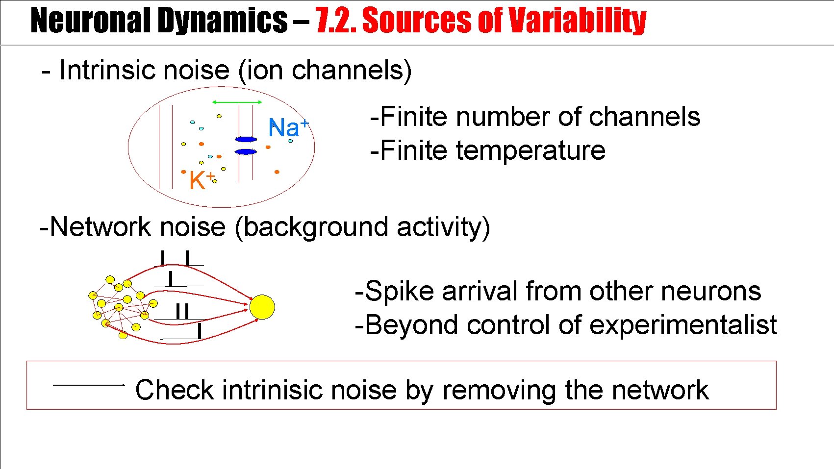 Neuronal Dynamics – 7. 2. Sources of Variability - Intrinsic noise (ion channels) +