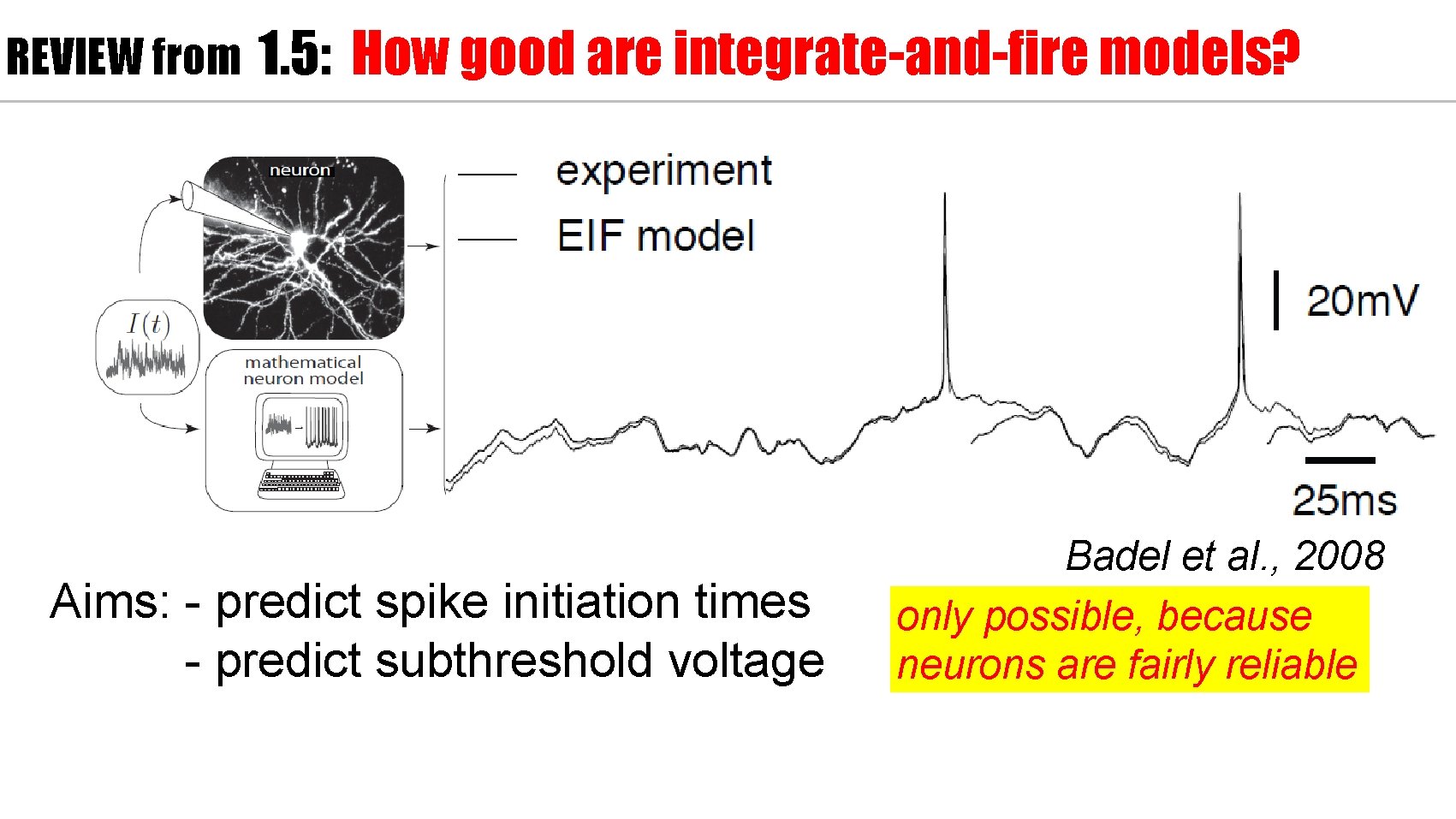 REVIEW from 1. 5: How good are integrate-and-fire models? Aims: - predict spike initiation