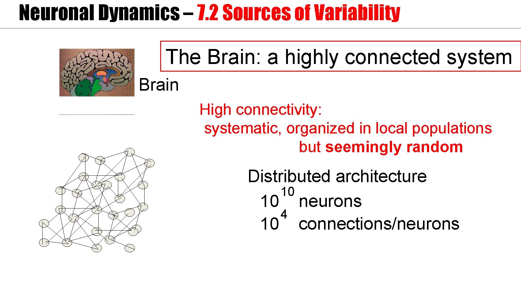 Neuronal Dynamics – 7. 2 Sources of Variability The Brain: a highly connected system