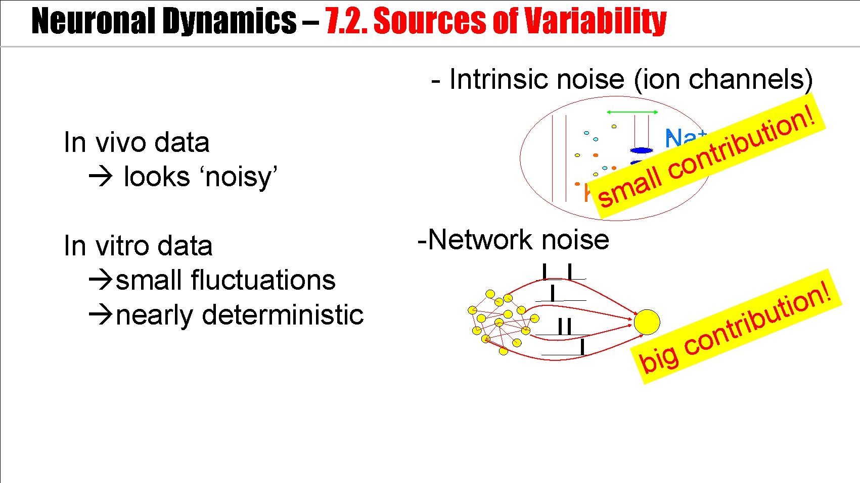 Neuronal Dynamics – 7. 2. Sources of Variability In vivo data looks ‘noisy’ In