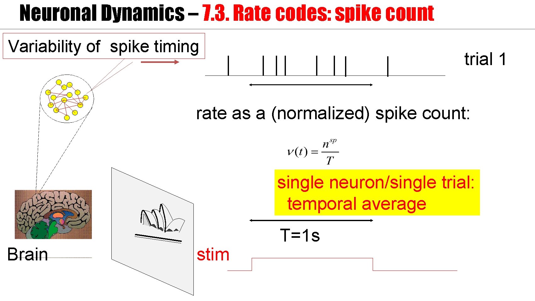 Neuronal Dynamics – 7. 3. Rate codes: spike count Variability of spike timing trial