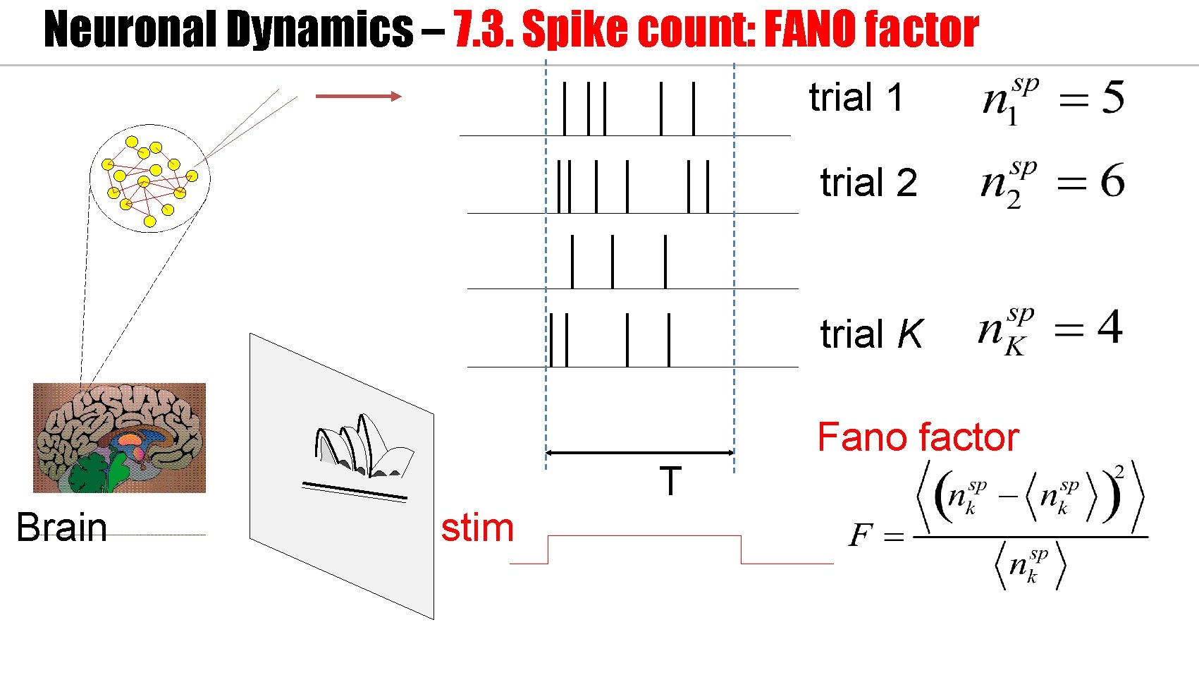 Neuronal Dynamics – 7. 3. Spike count: FANO factor trial 1 trial 2 trial