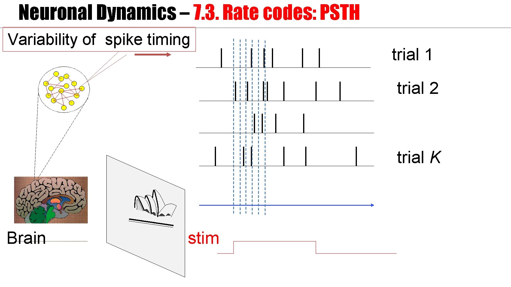 Neuronal Dynamics – 7. 3. Rate codes: PSTH Variability of spike timing trial 1