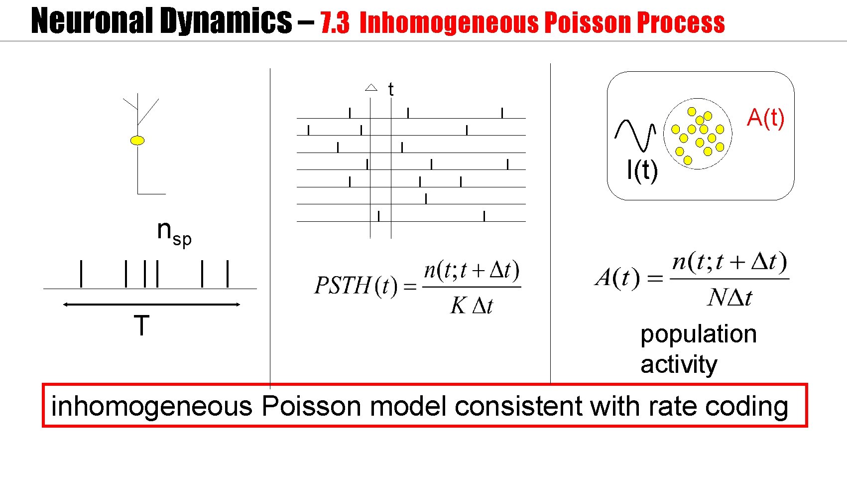 Neuronal Dynamics – 7. 3 Inhomogeneous Poisson Process t A(t) I(t) nsp T population