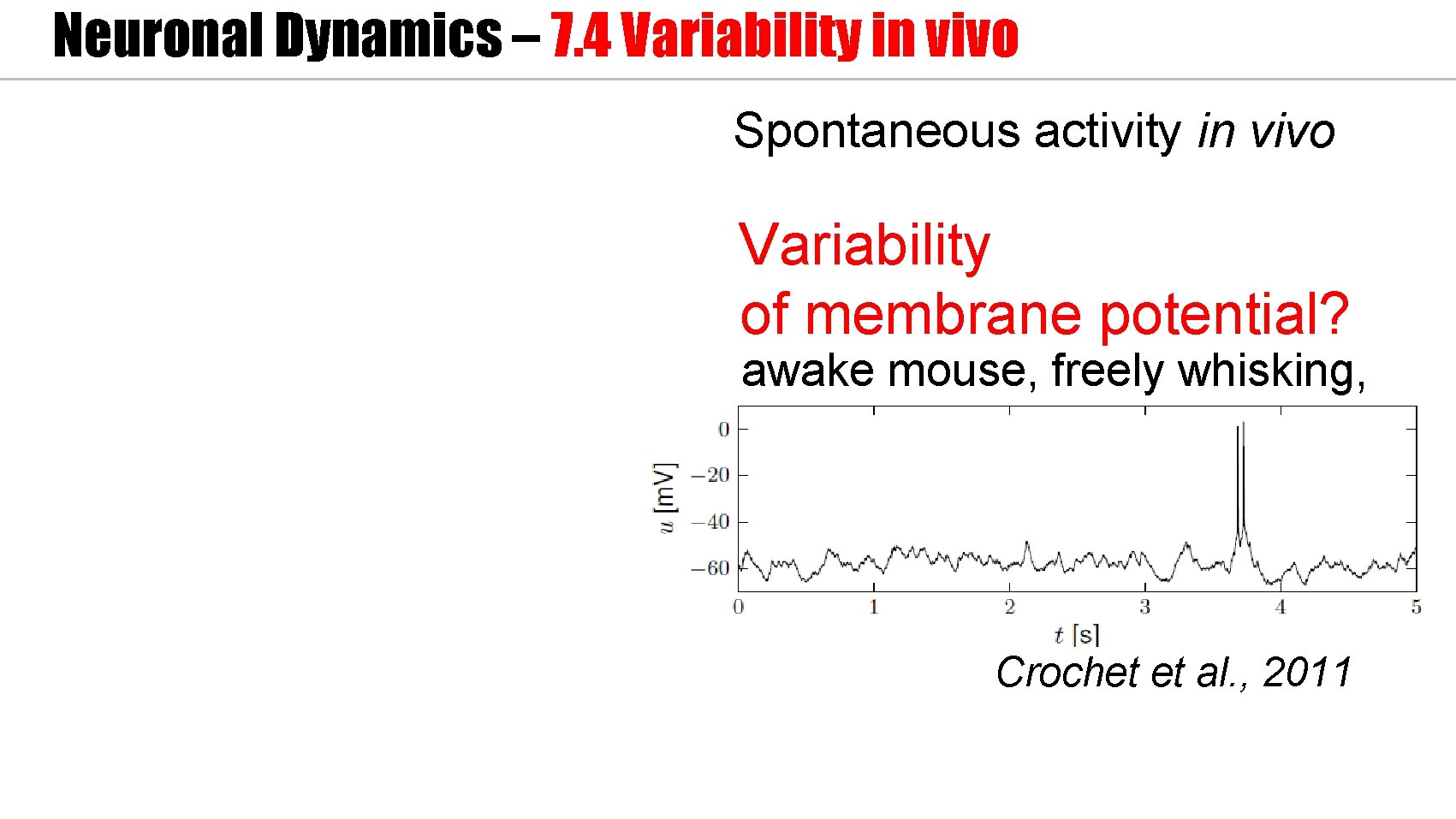 Neuronal Dynamics – 7. 4 Variability in vivo Spontaneous activity in vivo Variability of