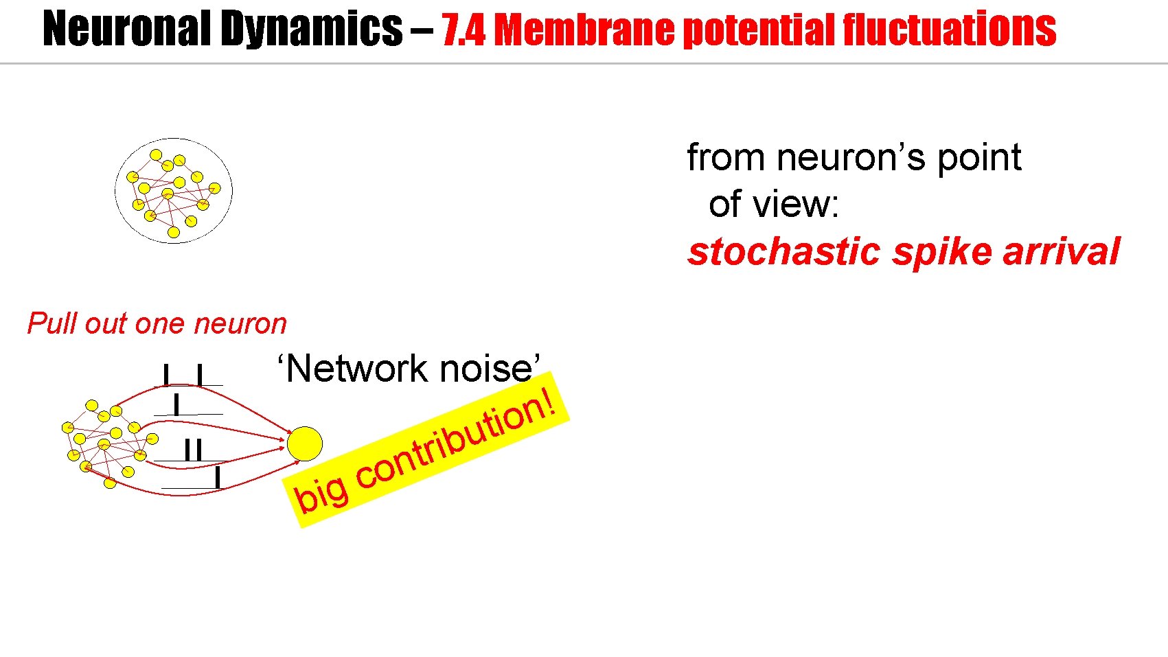 Neuronal Dynamics – 7. 4 Membrane potential fluctuations from neuron’s point of view: stochastic