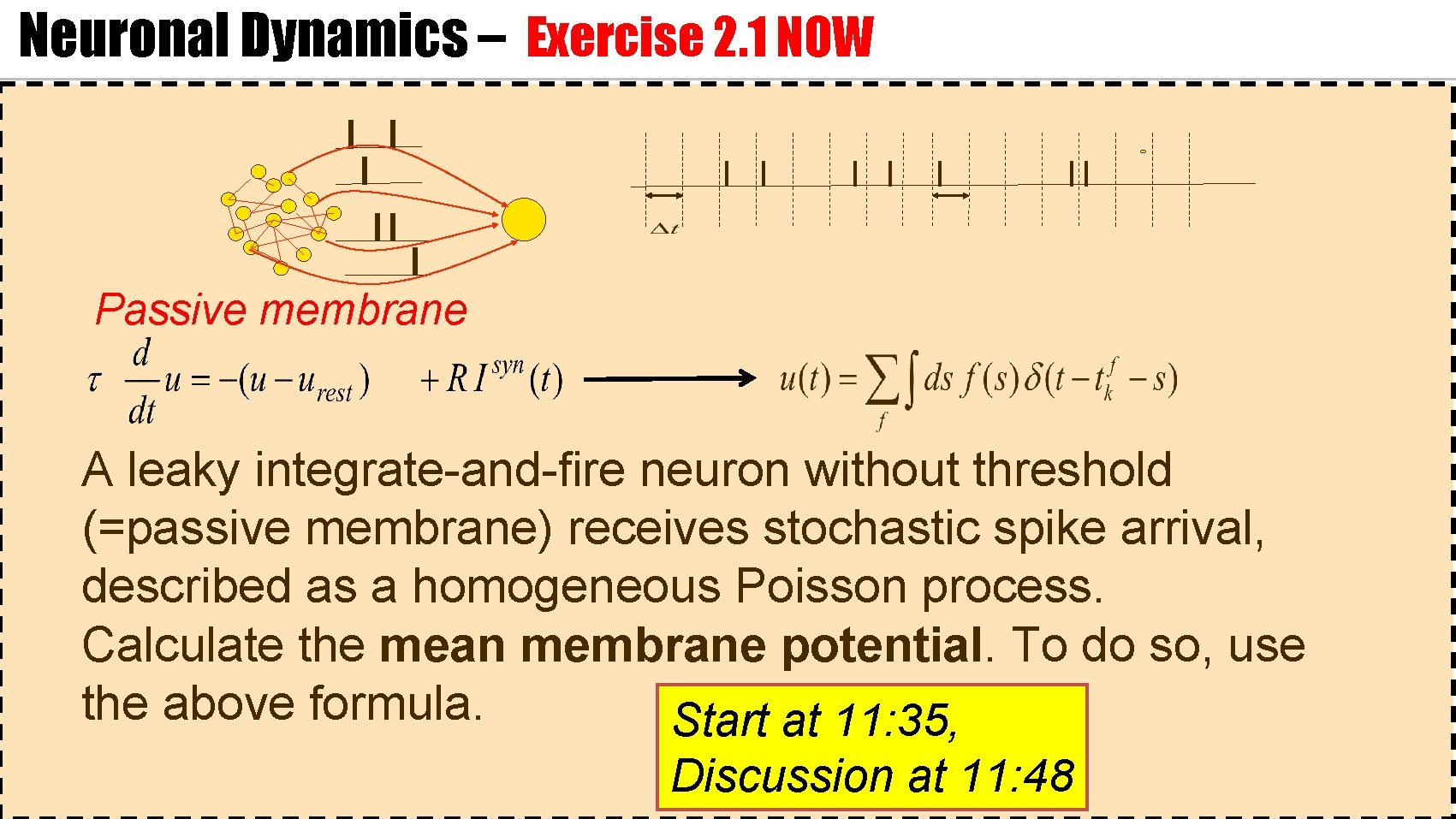 Neuronal Dynamics – Exercise 2. 1 NOW Passive membrane A leaky integrate-and-fire neuron without