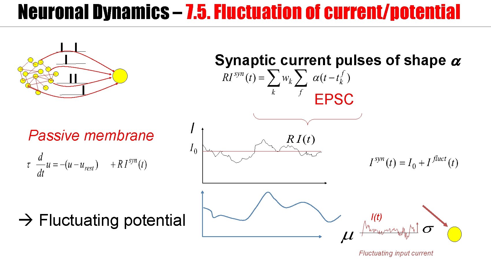 Neuronal Dynamics – 7. 5. Fluctuation of current/potential Synaptic current pulses of shape a