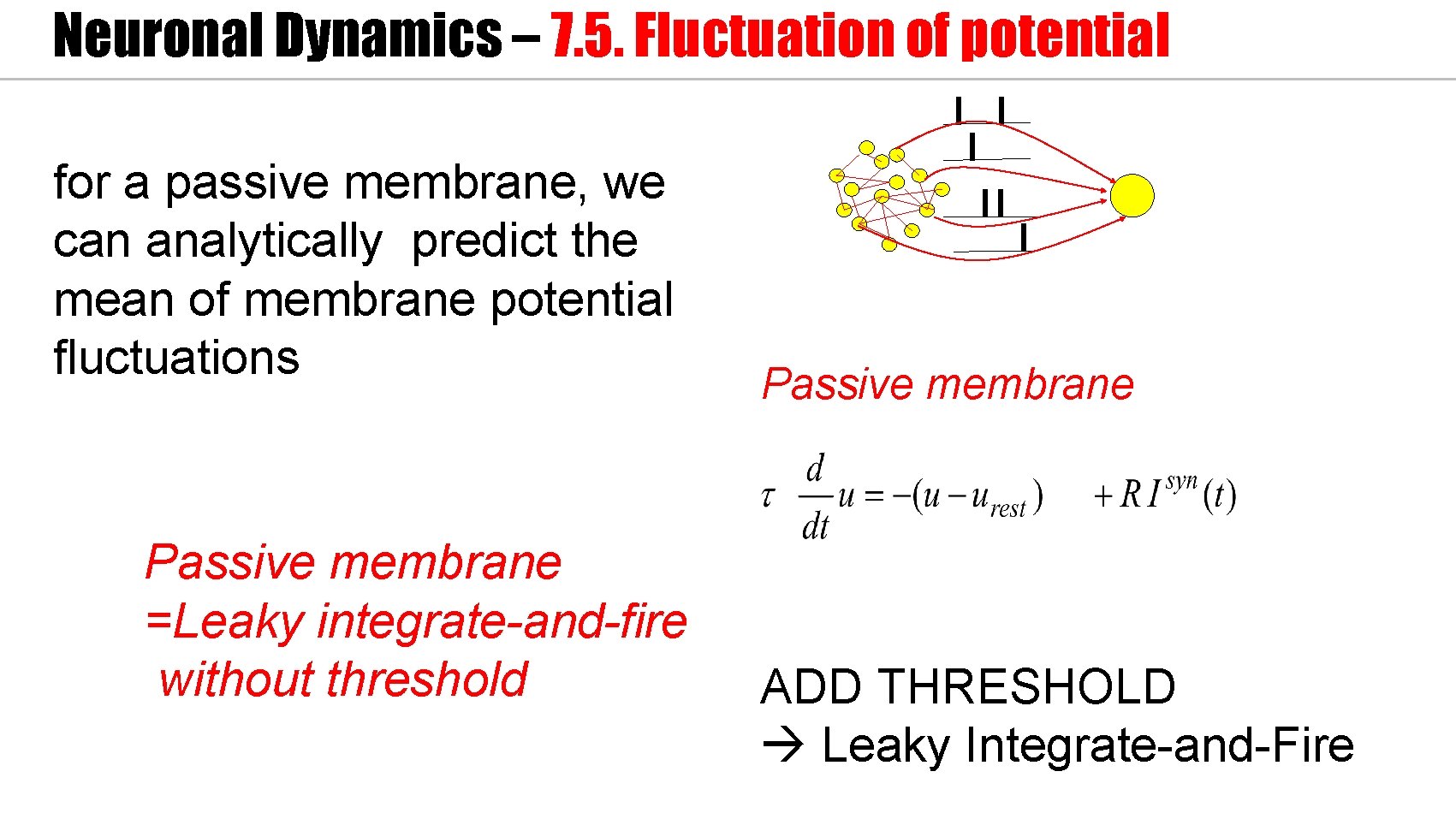 Neuronal Dynamics – 7. 5. Fluctuation of potential for a passive membrane, we can