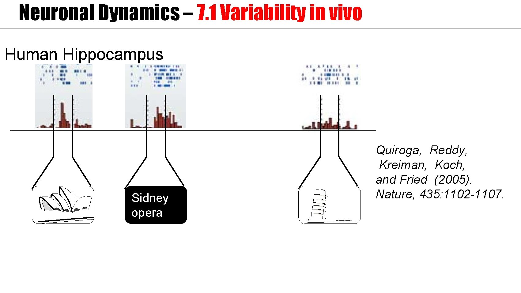 Neuronal Dynamics – 7. 1 Variability in vivo Human Hippocampus Sidne y opera Sidney