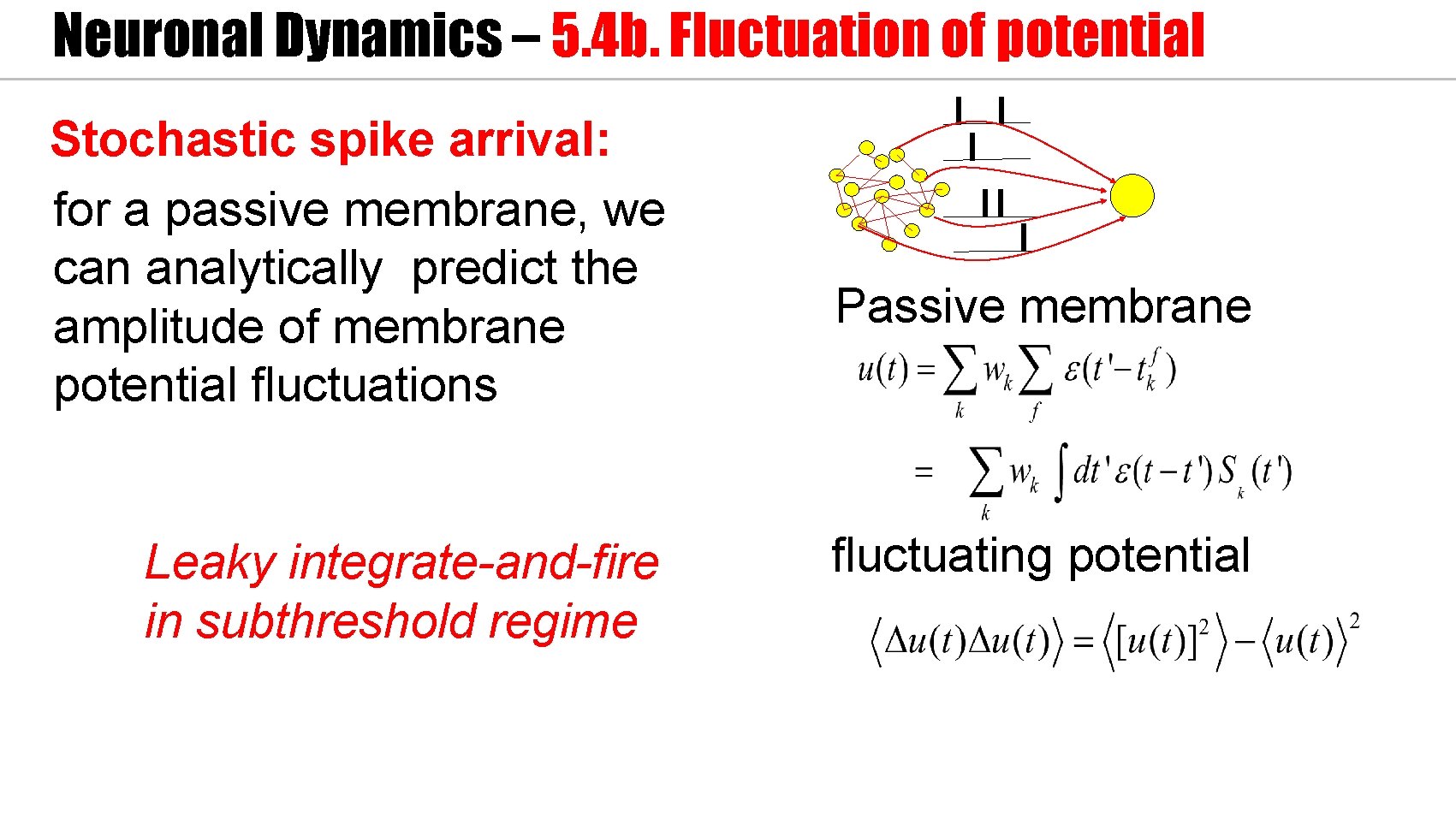 Neuronal Dynamics – 5. 4 b. Fluctuation of potential Stochastic spike arrival: for a