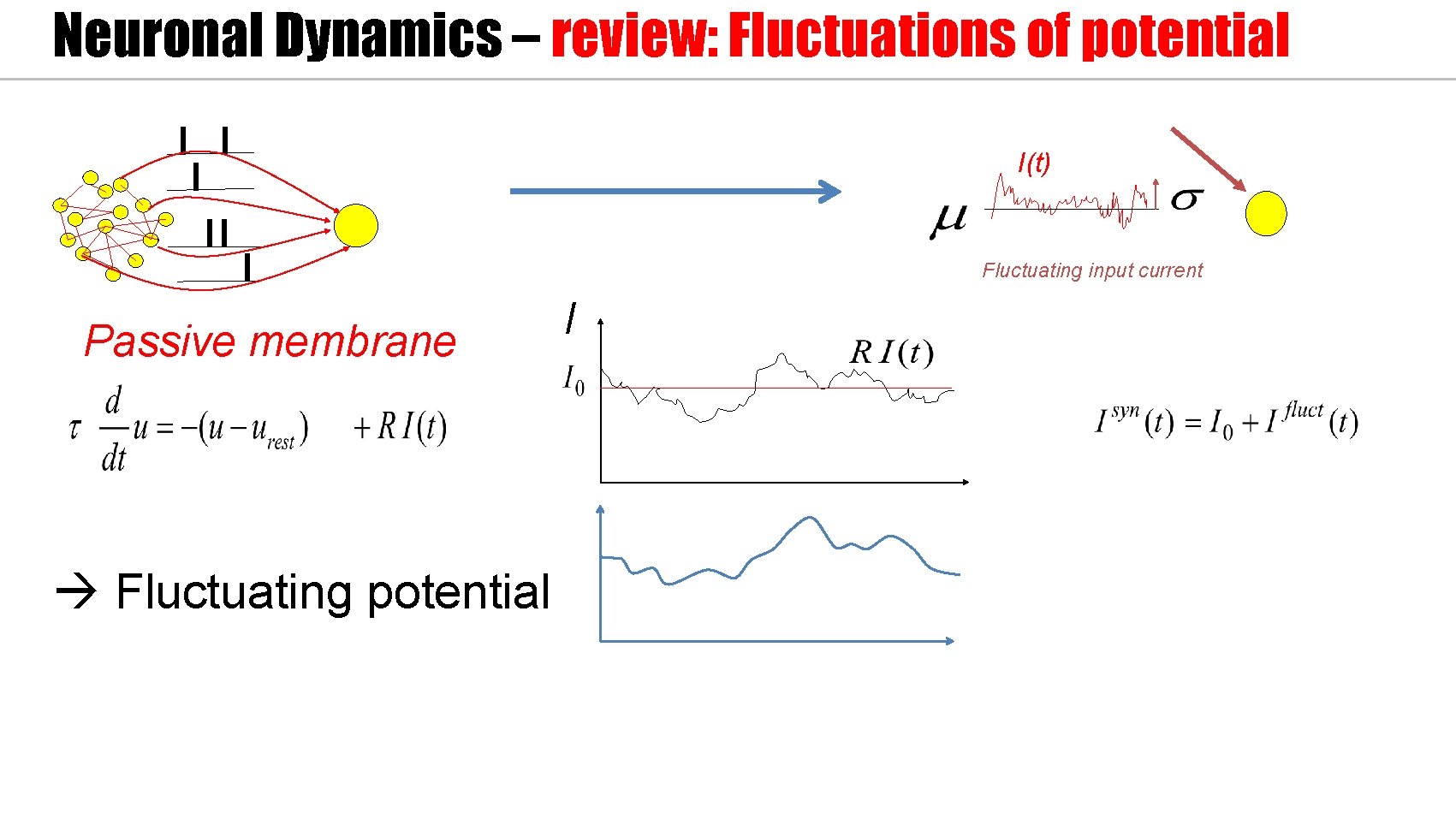 Neuronal Dynamics – review: Fluctuations of potential I(t) Fluctuating input current Passive membrane Fluctuating