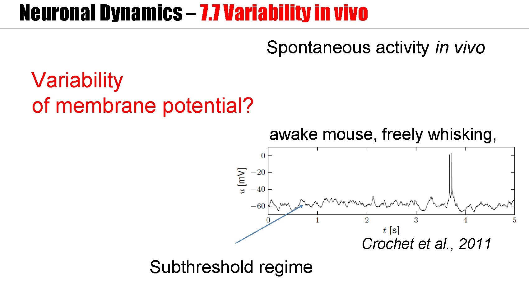 Neuronal Dynamics – 7. 7 Variability in vivo Spontaneous activity in vivo Variability of