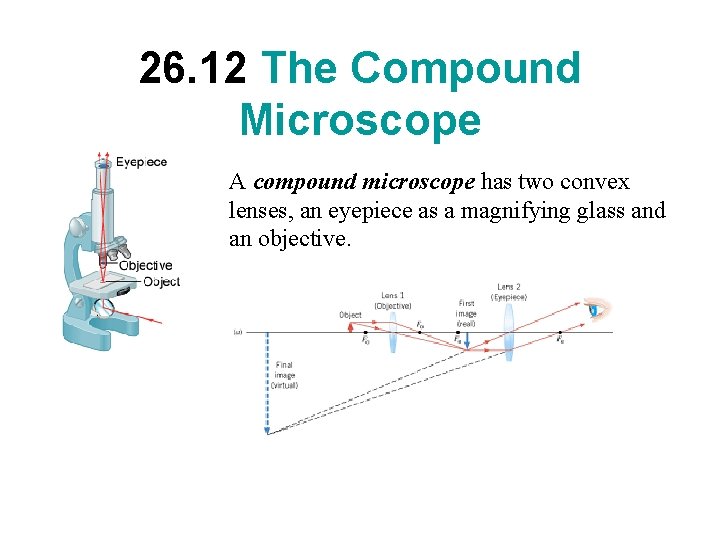 26. 12 The Compound Microscope A compound microscope has two convex lenses, an eyepiece