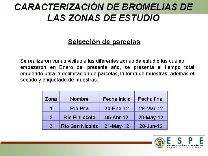 CARACTERIZACIÓN DE BROMELIAS DE LAS ZONAS DE ESTUDIO Selección de parcelas Se realizaron varias