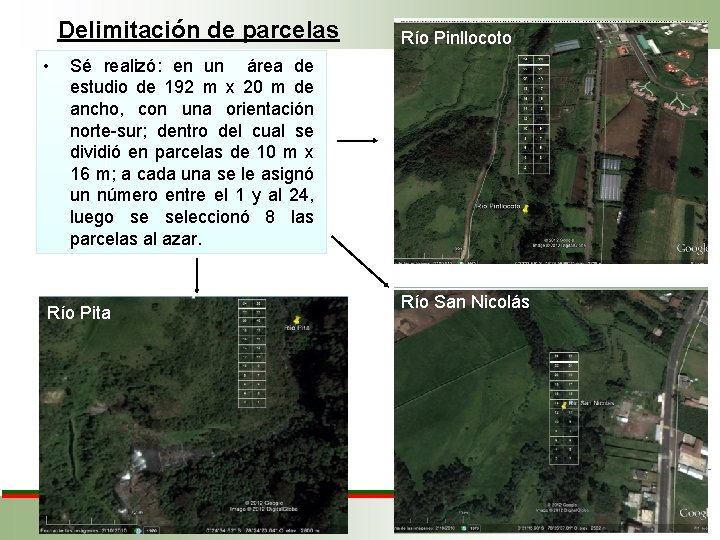 Delimitación de parcelas • Río Pinllocoto Sé realizó: en un área de estudio de