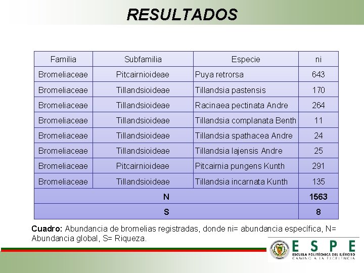 RESULTADOS Familia Subfamilia Especie ni Bromeliaceae Pitcairnioideae Puya retrorsa 643 Bromeliaceae Tillandsioideae Tillandsia pastensis