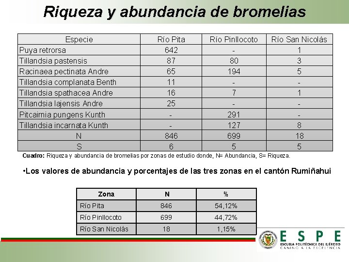 Riqueza y abundancia de bromelias Especie Puya retrorsa Tillandsia pastensis Racinaea pectinata Andre Tillandsia