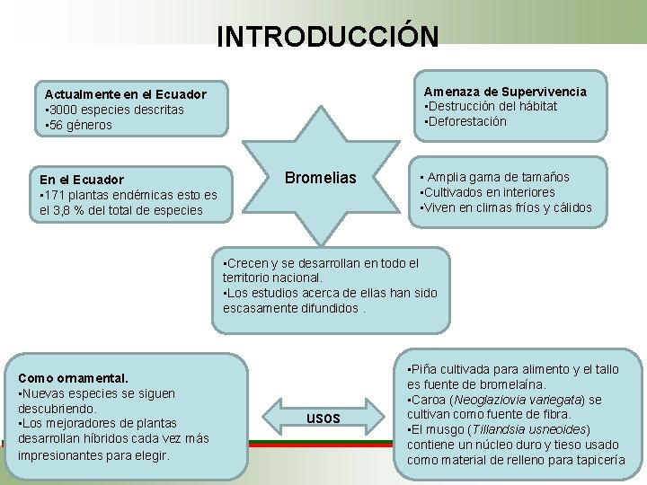 INTRODUCCIÓN Amenaza de Supervivencia • Destrucción del hábitat • Deforestación Actualmente en el Ecuador