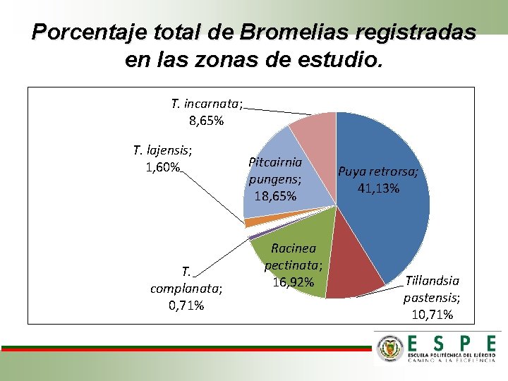 Porcentaje total de Bromelias registradas en las zonas de estudio. T. incarnata; 8, 65%