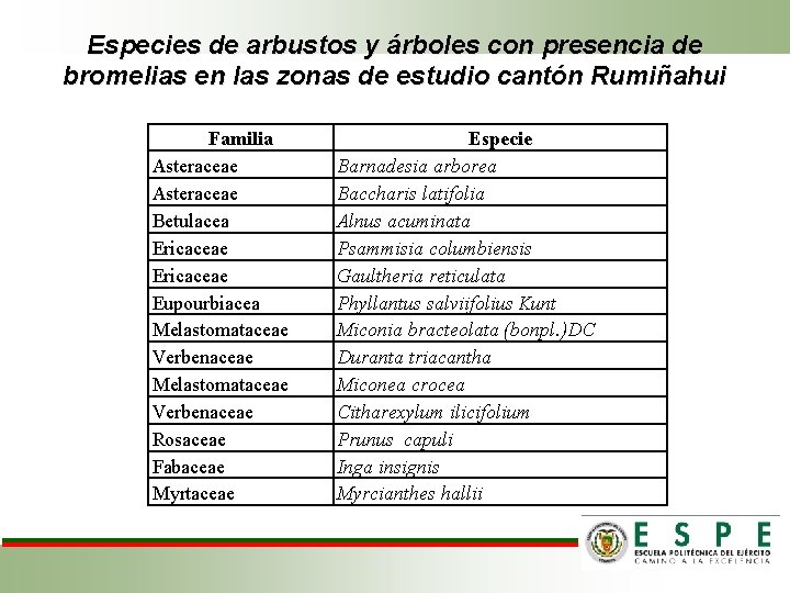 Especies de arbustos y árboles con presencia de bromelias en las zonas de estudio