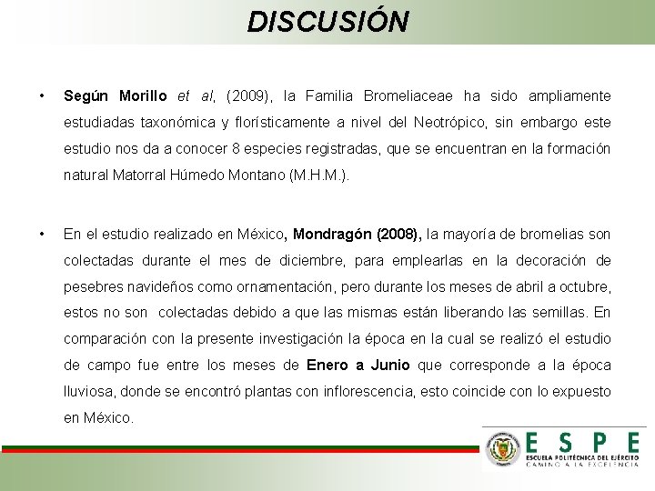DISCUSIÓN • Según Morillo et al, (2009), la Familia Bromeliaceae ha sido ampliamente estudiadas
