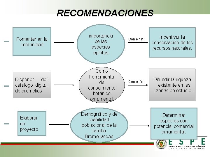 RECOMENDACIONES Fomentar en la comunidad Disponer del catálogo digital de bromelias Elaborar un proyecto