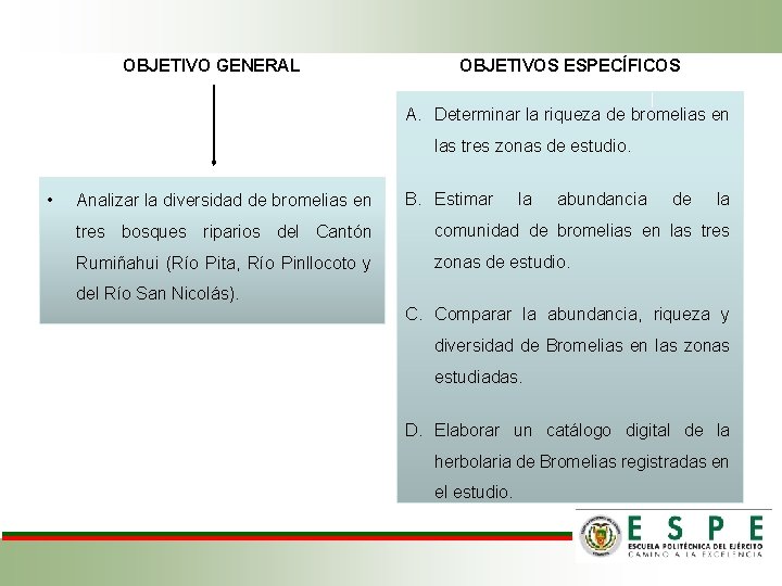 OBJETIVO GENERAL OBJETIVOS ESPECÍFICOS A. Determinar la riqueza de bromelias en las tres zonas