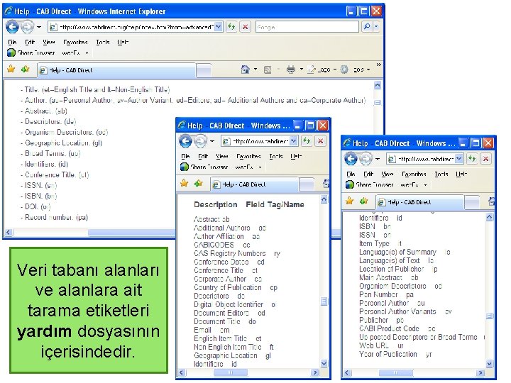 Veri tabanı alanları ve alanlara ait tarama etiketleri yardım dosyasının içerisindedir. 