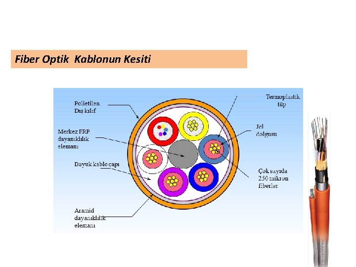 Fiber Optik Kablonun Kesiti 