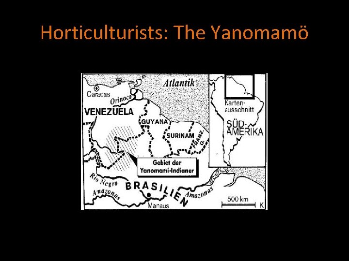 Horticulturists: The Yanomamö 