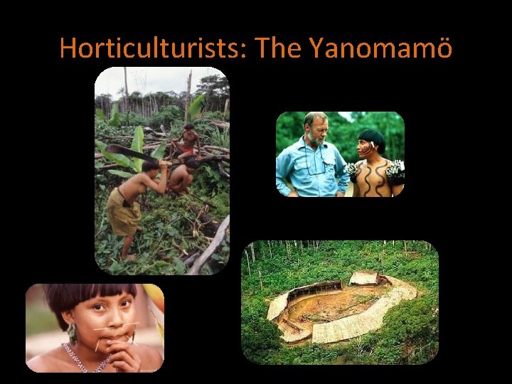 Horticulturists: The Yanomamö 