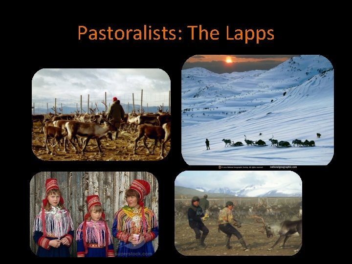 Pastoralists: The Lapps 