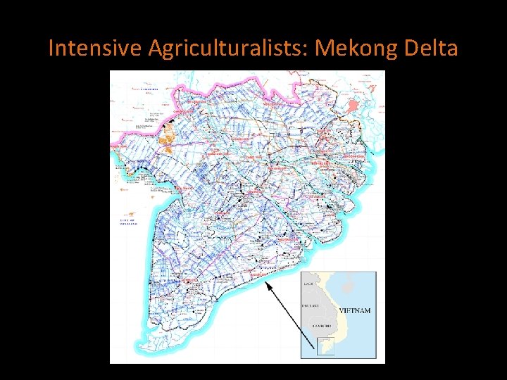 Intensive Agriculturalists: Mekong Delta 