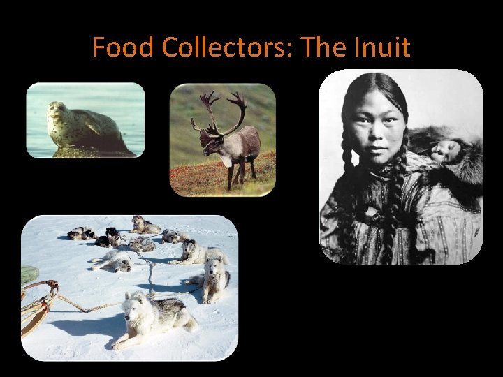 Food Collectors: The Inuit 